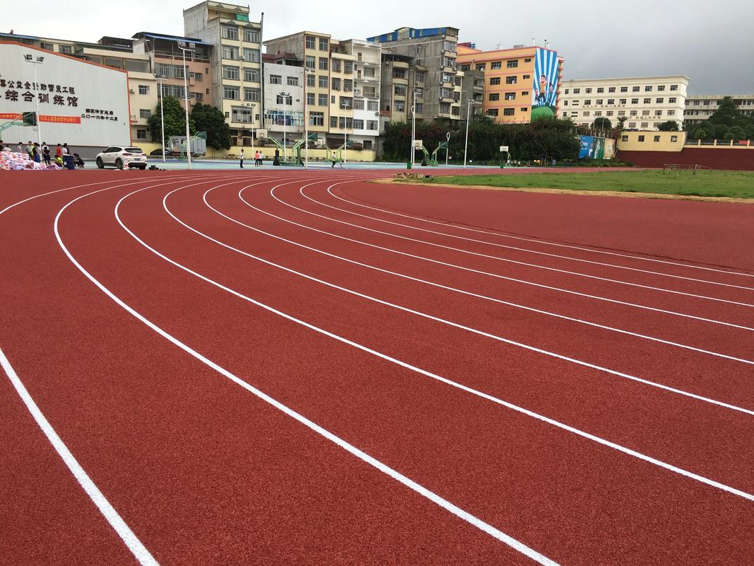 屯昌县硅PU材料塑胶跑道材料 - 厂家